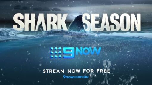 ზვიგენების სეზონი  ქართულად -  Shark Season