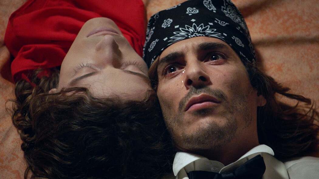 ქერა ცხოველები  ქართულად -  Blonde Animals