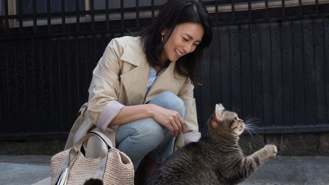 კატების კუნძული  ქართულად -  The Island of Cats