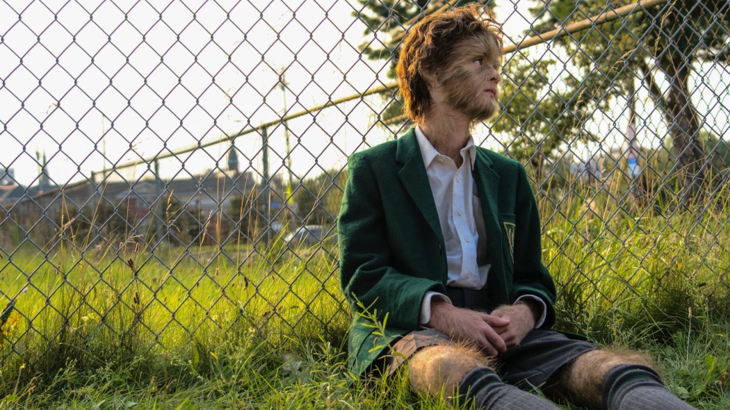 მგელ-ბიჭუნას ნამდვილი თავგადასავლები  ქართულად -  The True Adventures of Wolfboy