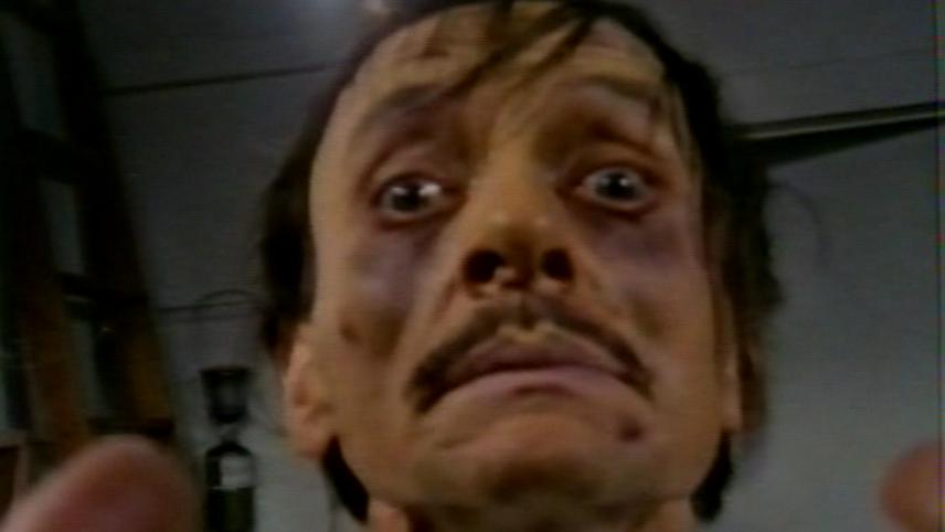 ტოქსიური ზომბები  ქართულად -  Toxic Zombies