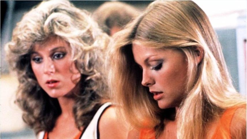 ჰოლივუდის რაინდები  ქართულად -  The Hollywood Knights