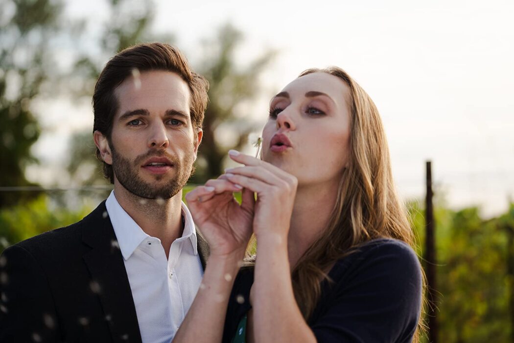 სიყვარული ჰარმონი ველიში  ქართულად -  Love in Harmony Valley