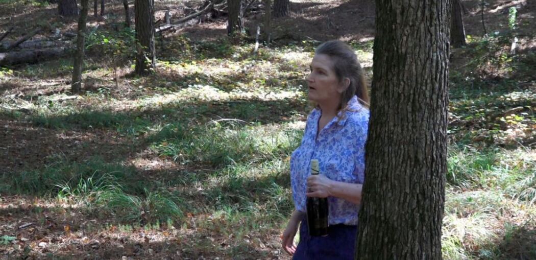 დასასვენებელი ადგილი  ქართულად -  Rest Area