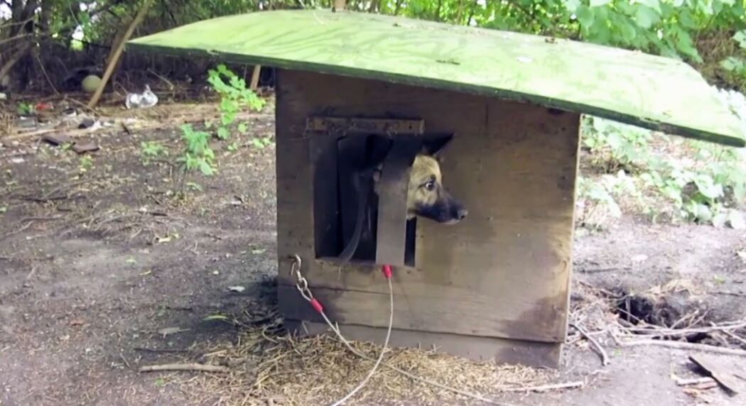 ჯაჭვების გარღვევა  ქართულად -  Breaking the Chain