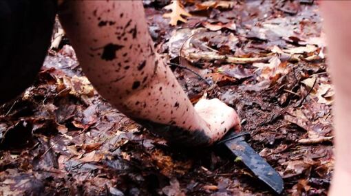 ანთროპოცენი  ქართულად -  Anthropocene