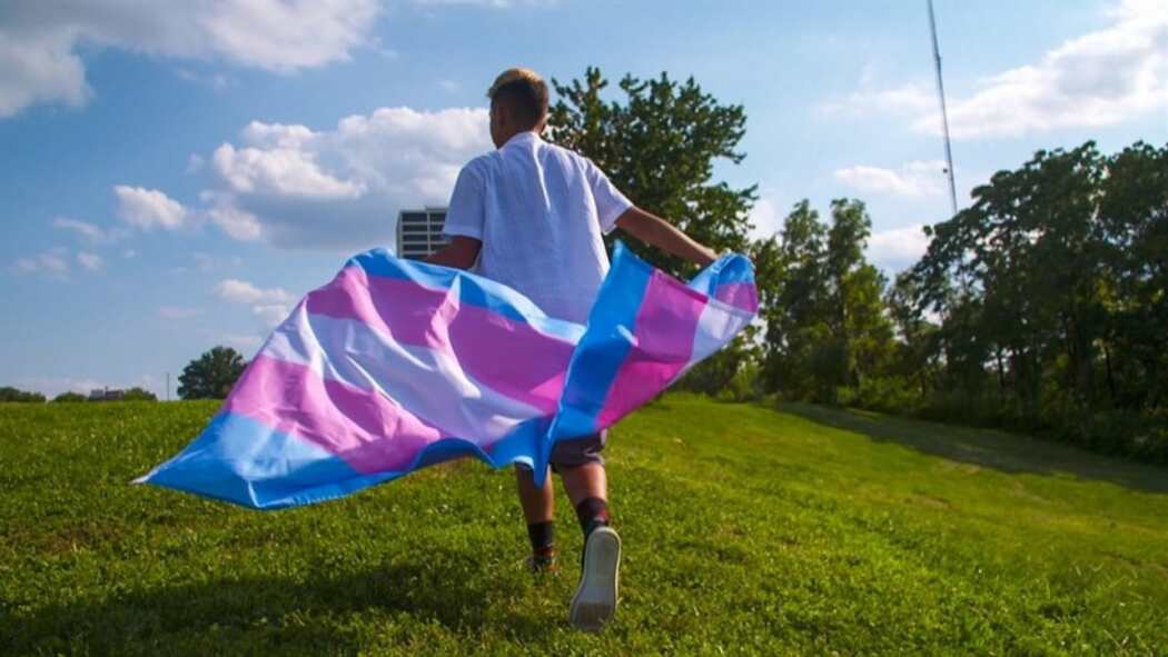 ტრანსების საზოგადოება  ქართულად -  Transhood