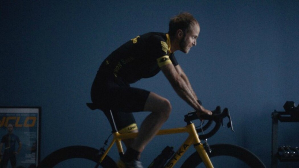 დომესტიკი  ქართულად -  Domestique