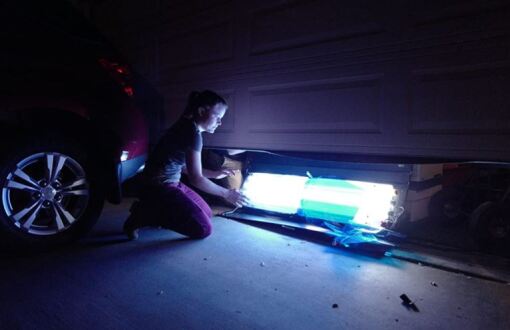 რეალურ ცხოვრებაში  ქართულად -  IRL