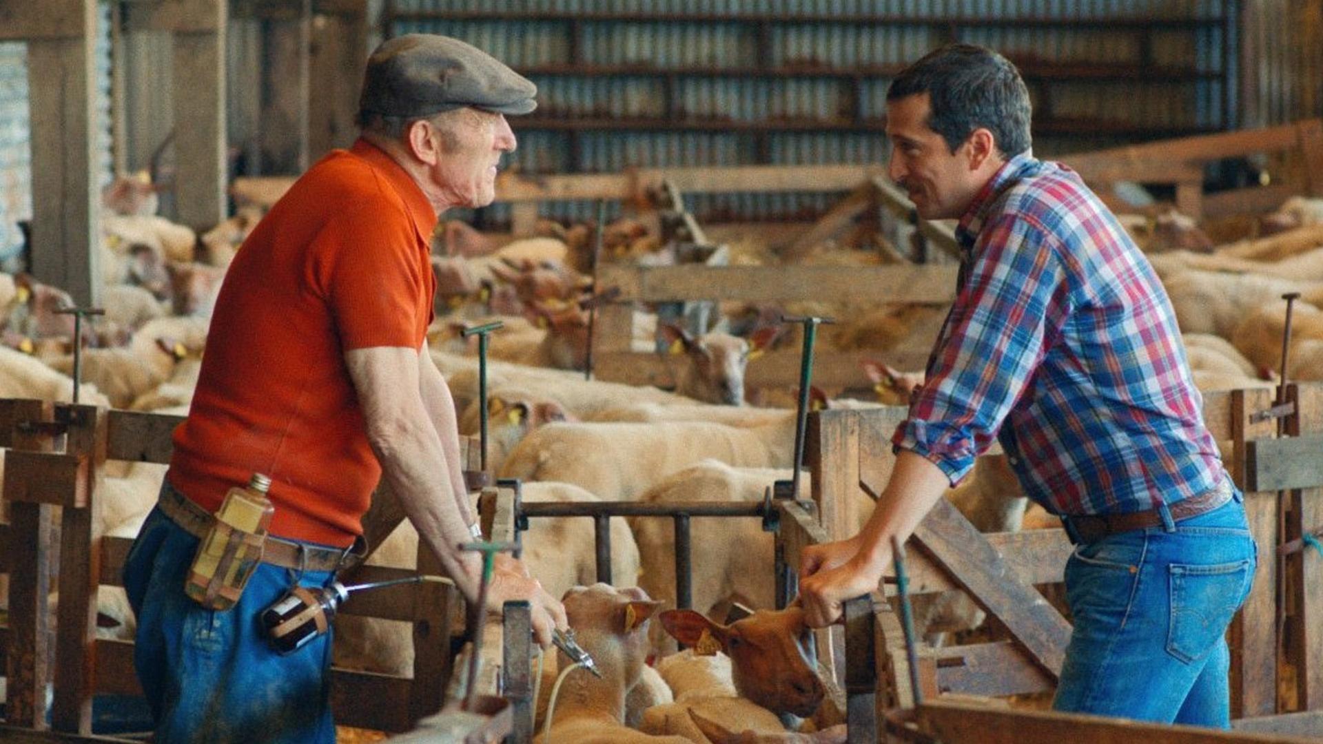 სამშობლოს სახელით  ქართულად -  In the Name of the Land