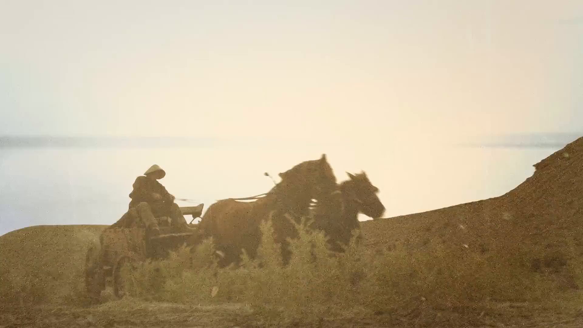 სიმკვრივე და დაკარგული ძვირფასი ქვები  ქართულად -  Resilience and the Lost Gems