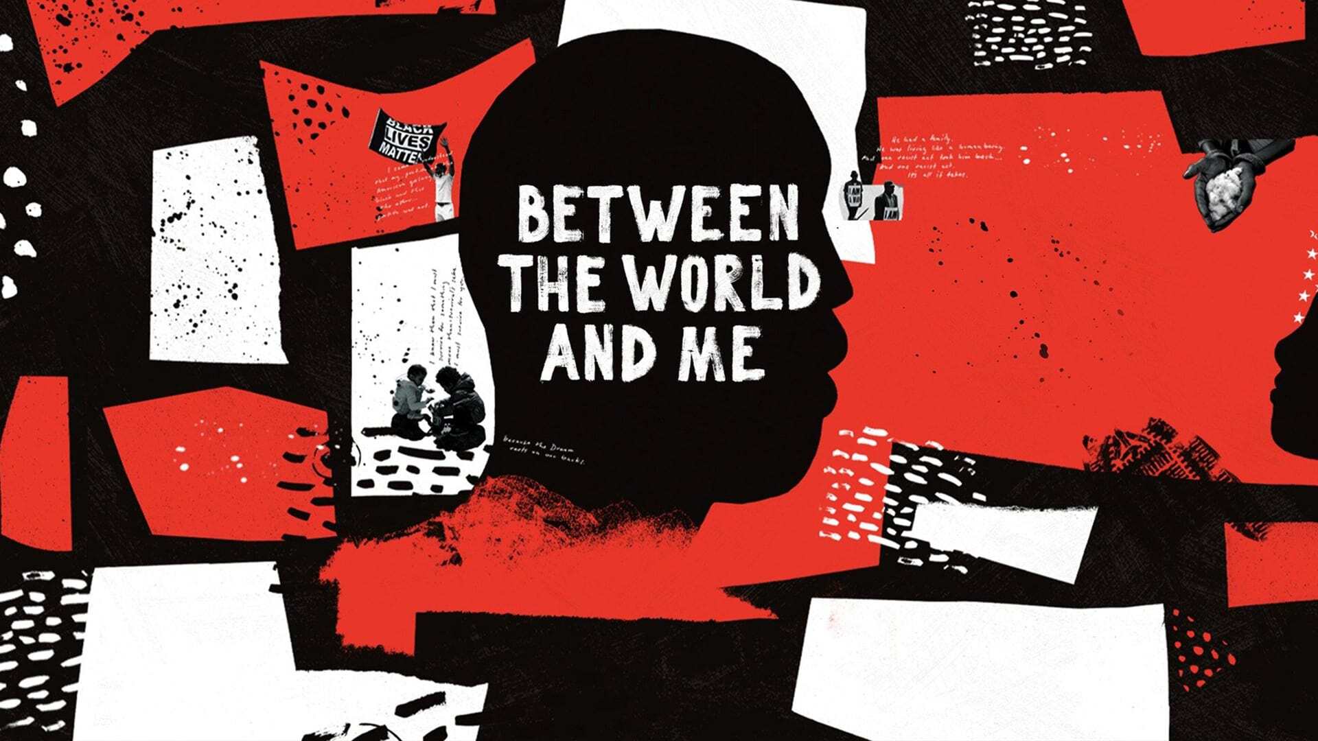 სამყაროსა და ჩემ შორის.  ქართულად -  Between the World and Me