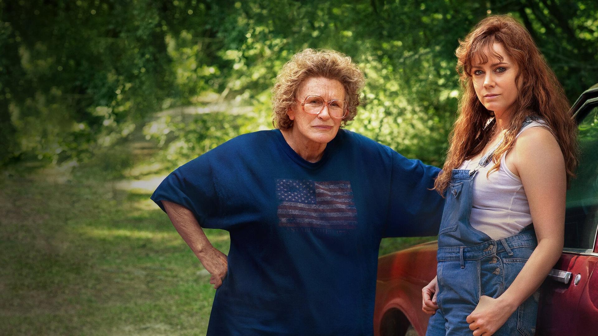 ჰილბილის ელეგია  ქართულად -  Hillbilly Elegy