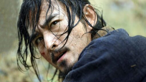 დაუნდობელი ხმლები  ქართულად -  Wild Swords