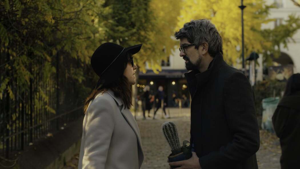 ემა პიტერსი  ქართულად -  Emma Peeters