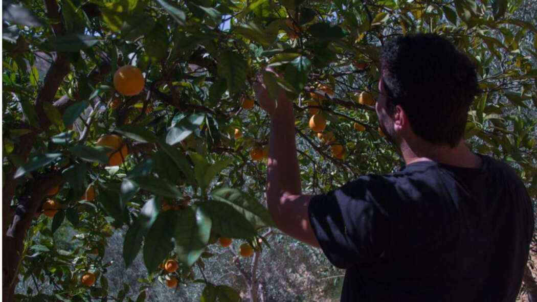 ტილო ზეთი  ქართულად -  Oil on Canvas