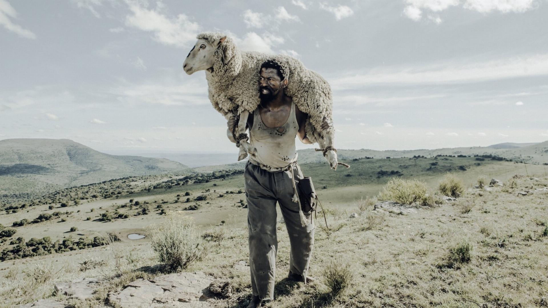 Sew the Winter to My Skin  ქართულად -  Пришей зиму к моей коже