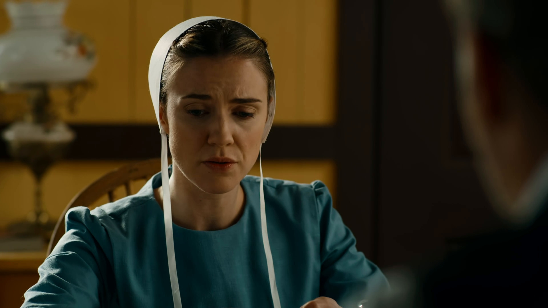 ამიშის გატაცება  ქართულად -  Amish Abduction