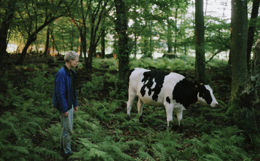 ქედი  ქართულად -  Ridge