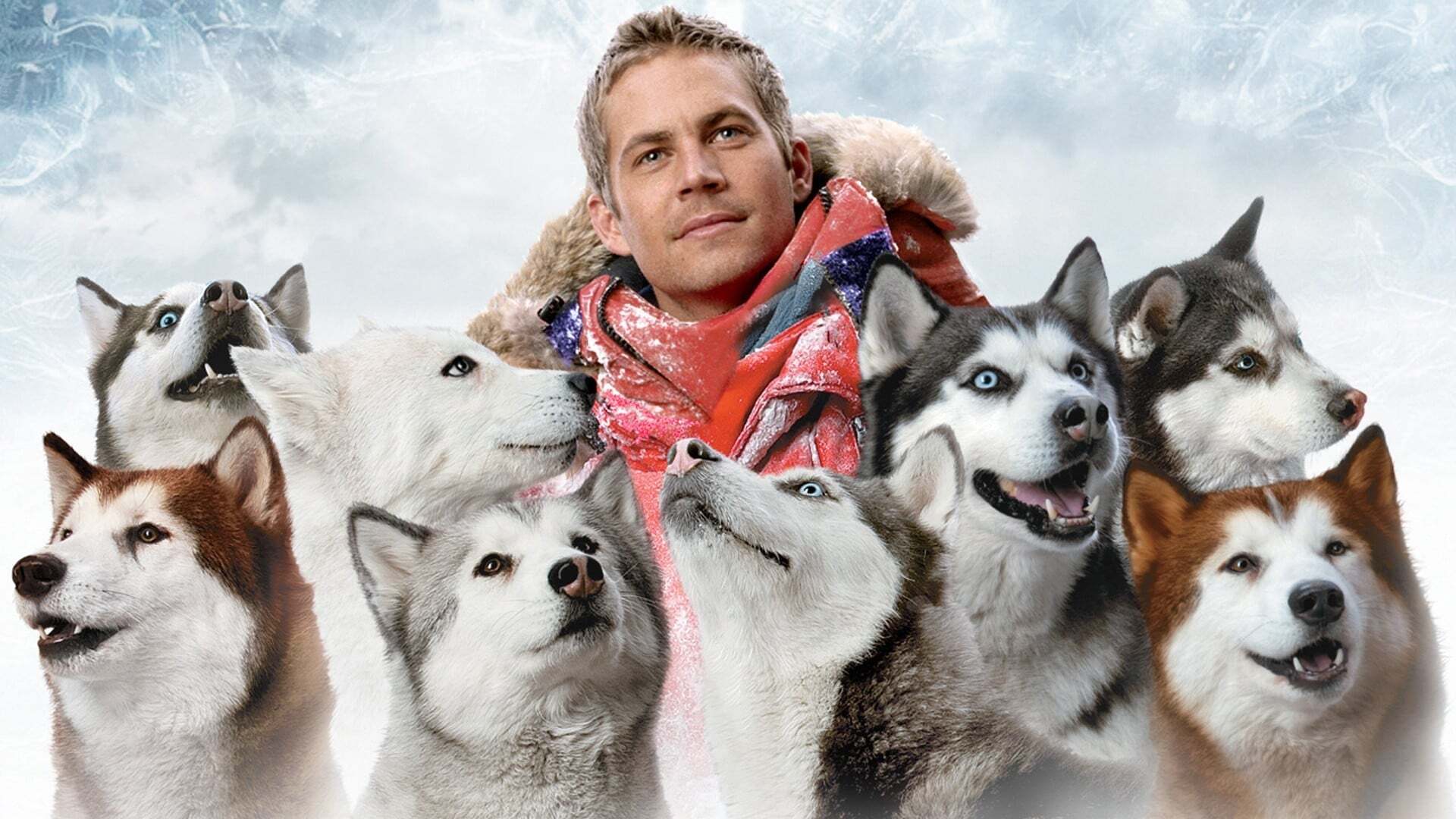 -22 გრადუსი ცელსიუსით  ქართულად -  Eight Below