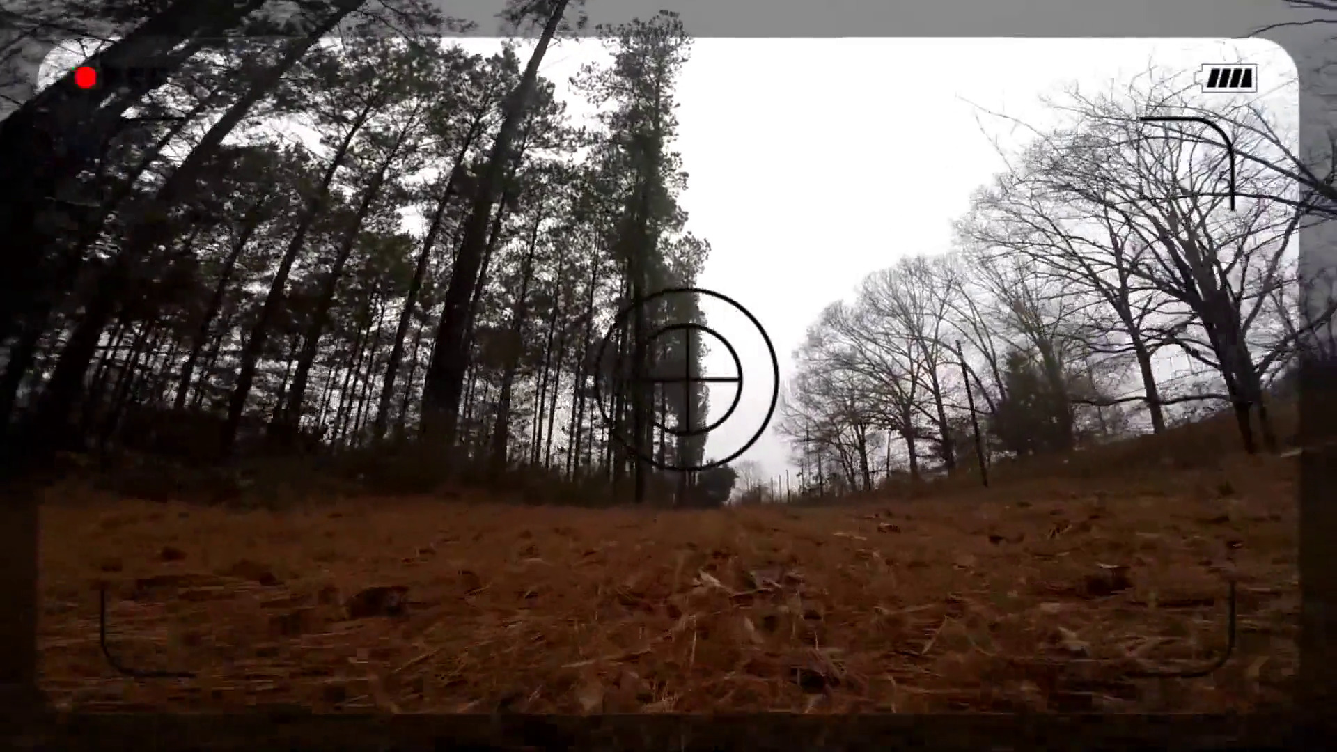 ჩიტის თვალით დანახული  ქართულად -  Birds Eye