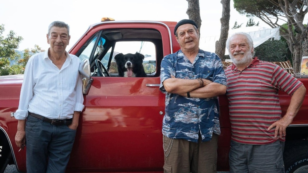 მსოფლიოს მოქალაქეეები  ქართულად -  Citizens of the World