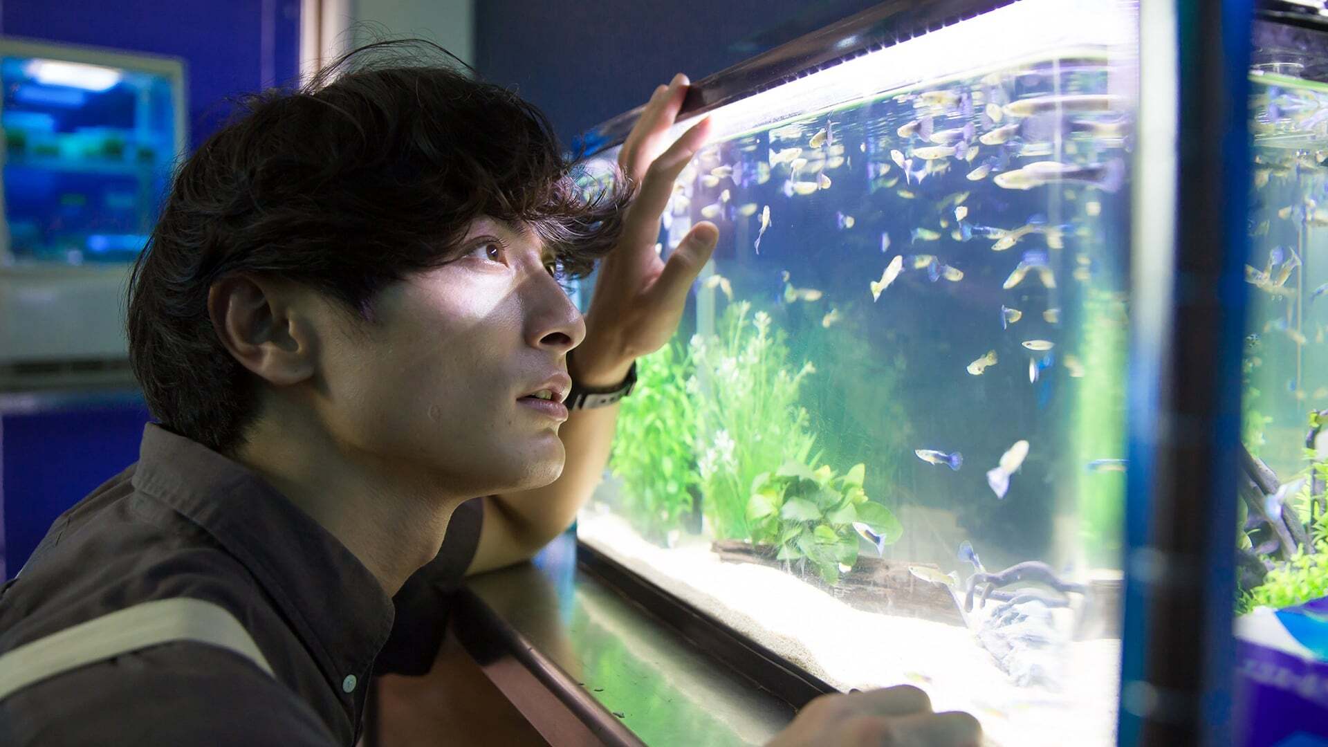 საწოლქვეშ  ქართულად -  Under Your Bed