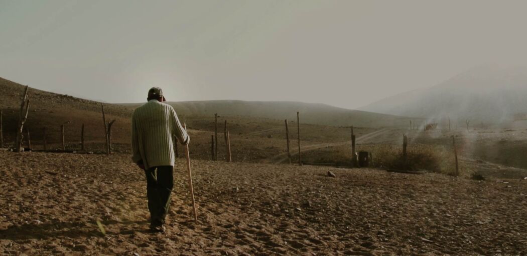 ცხოვრება არ არის ჯოჯოხეთი  ქართულად -  Living There Is Not Hell, It Is the Fire of the Desert. The Plenitude of Life That Stayed There Like a Tree