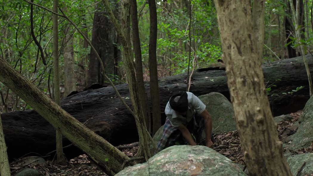 სასაფლაო  ქართულად -  Cemetery