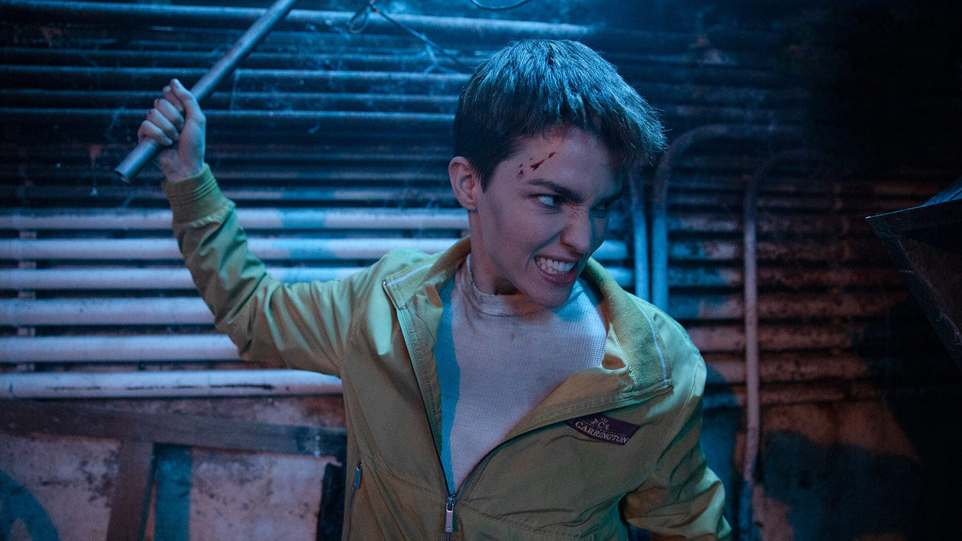 შვეიცარი  ქართულად -  The Doorman