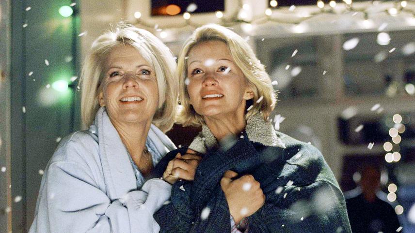 სტუმარი საშობაოდ  ქართულად -  A Christmas Visitor