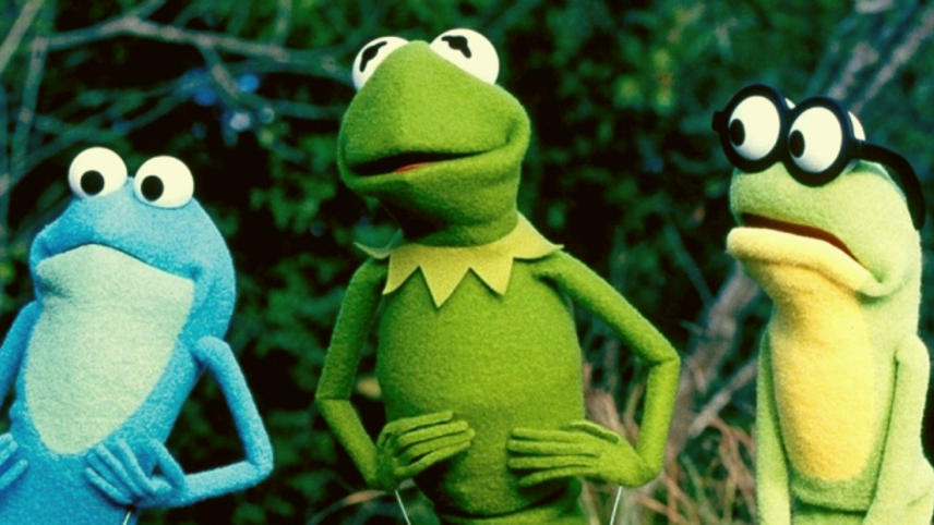 ბაყაყი კერმიტი: წლები ჭაობში  ქართულად -  Kermits Swamp Years