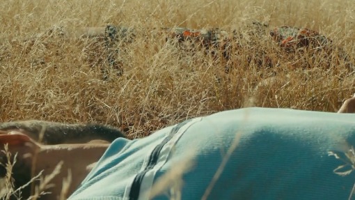 ლურჯის შემდეგ  ქართულად -  After Blue