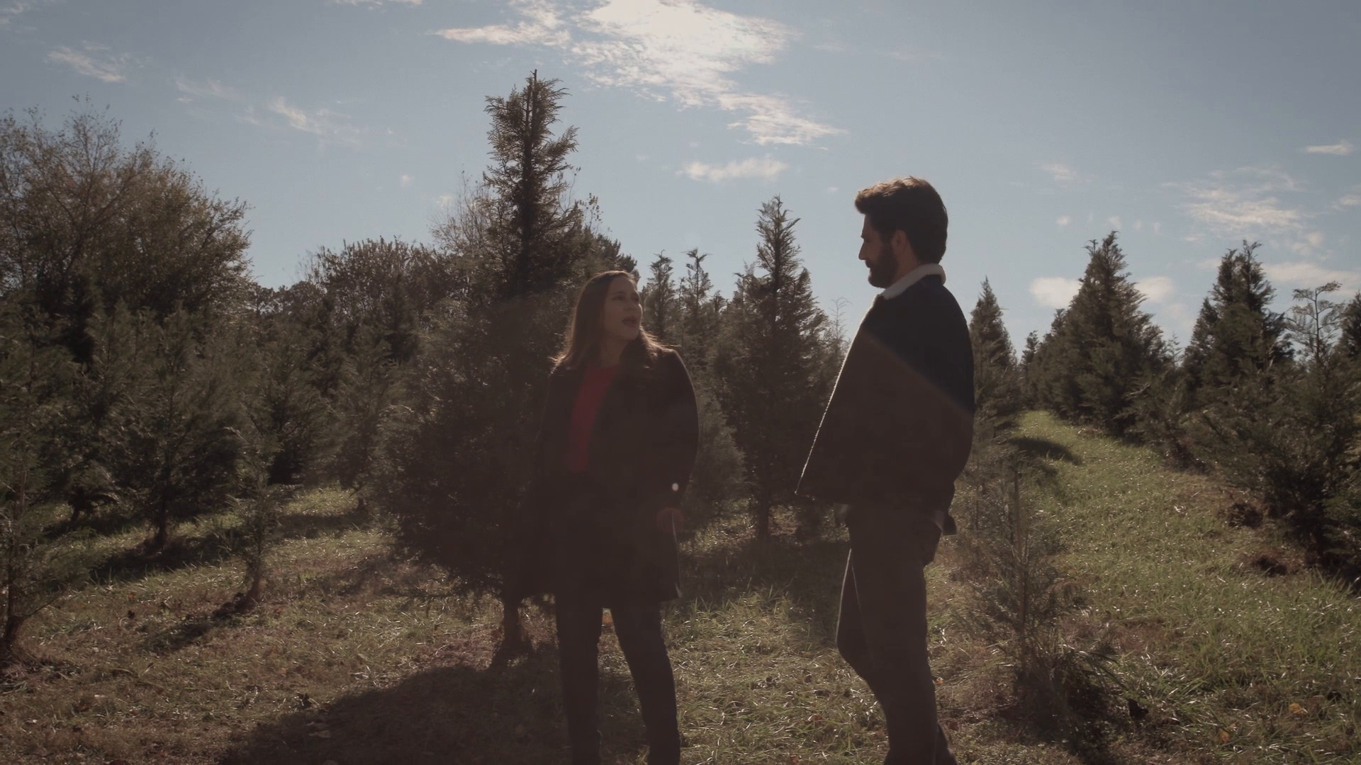 შობის ხის სიყვარლის ისტორია  ქართულად -  A Christmas Tree Love Story