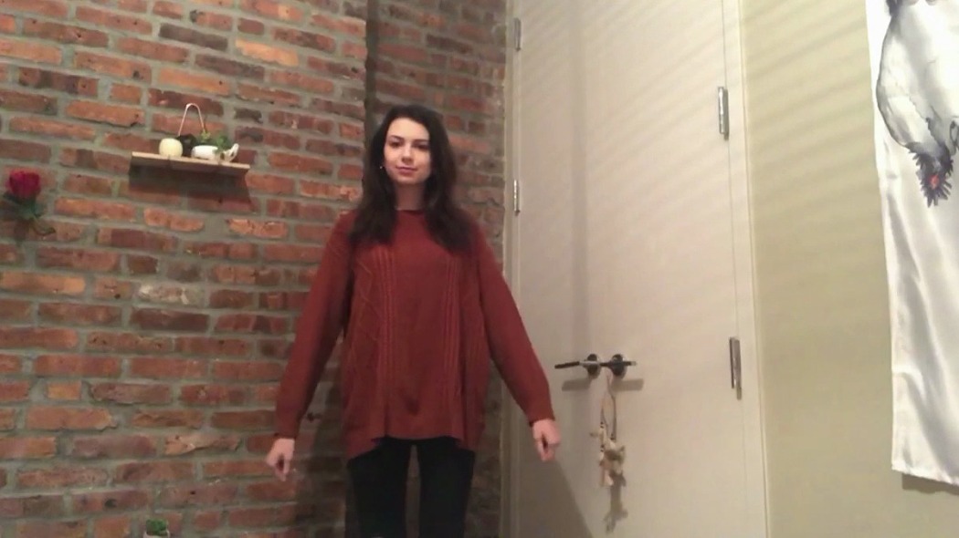 DVD  ქართულად -  The DVD