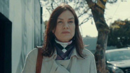 ფრანგი მასწავლებელი  ქართულად -  The French Teacher