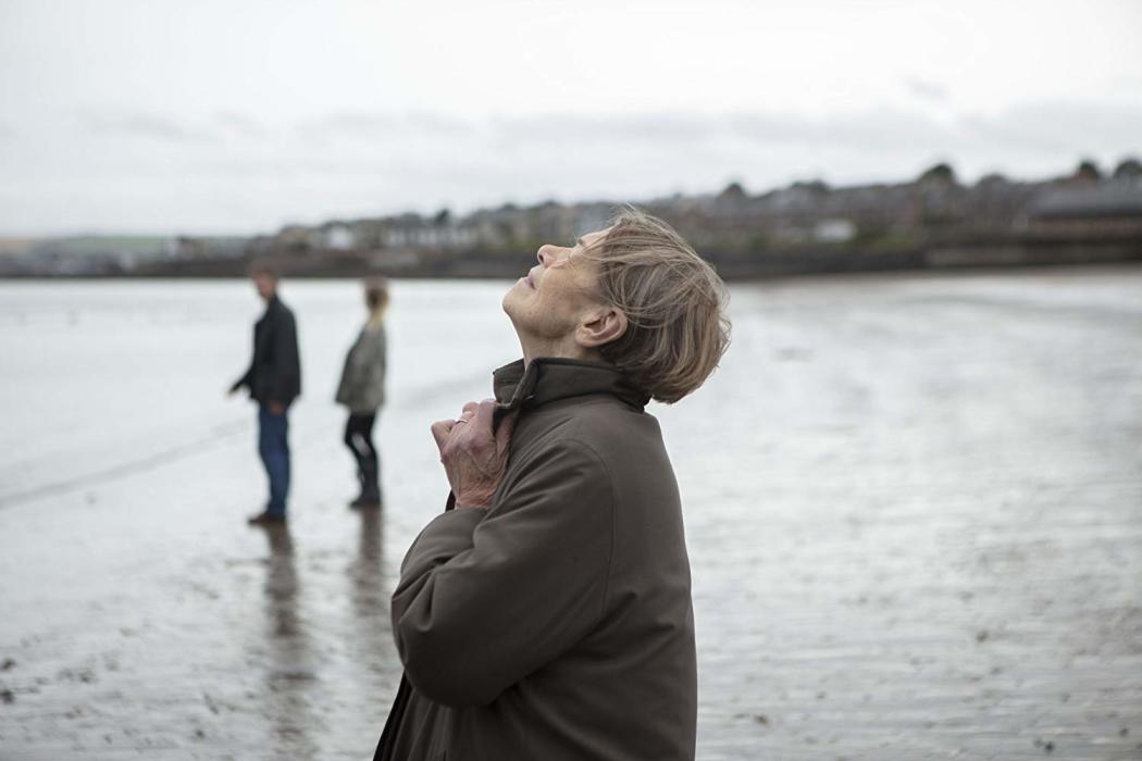 ელიზაბეთი დაიკარგა  ქართულად -  Elizabeth Is Missing