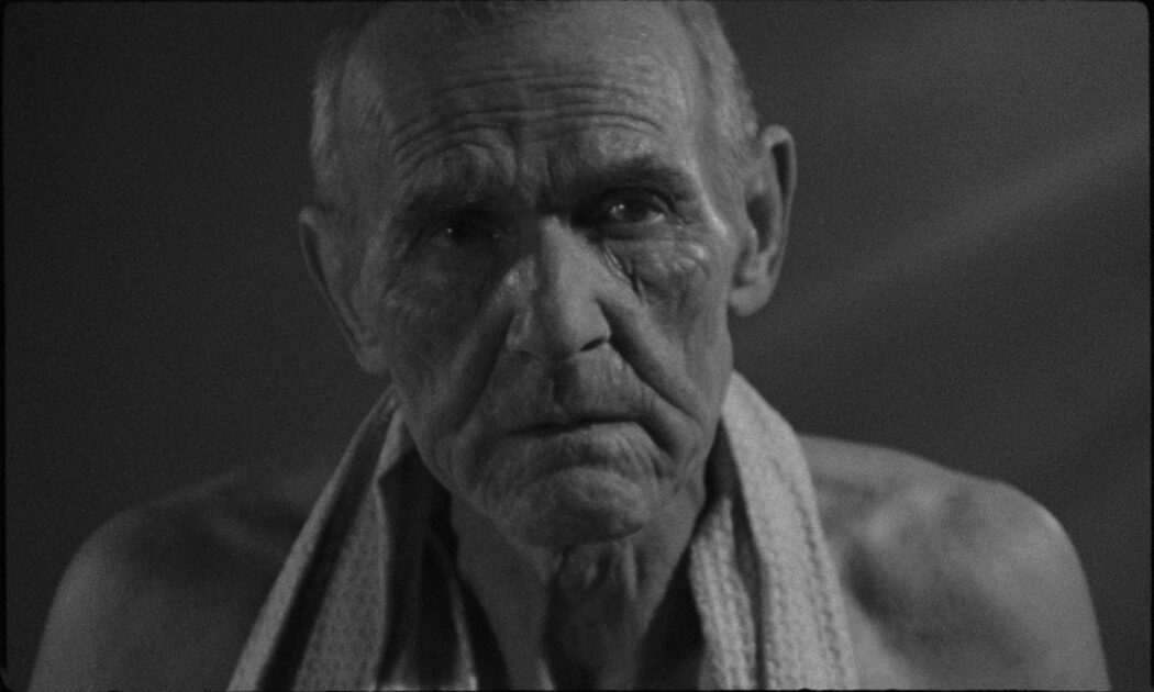 მოსაზრება  ქართულად -  Sententia