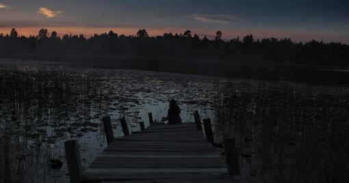 ტყის ნინა  ქართულად -  Nina of the Woods