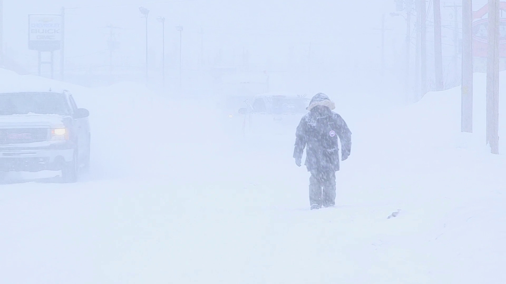 გახდი ლაბრადორელი  ქართულად -  Becoming Labrador