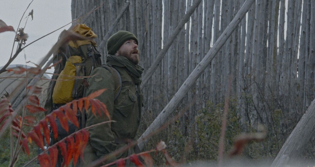 უილკოქსი  ქართულად -  Wilcox