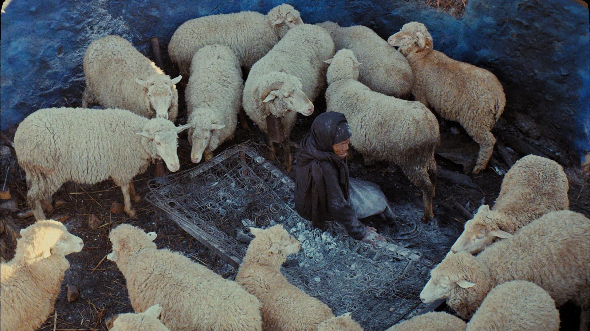 ეს დაკრძალვა არ არის , ეს აღდგომაა  ქართულად -  This Is Not a Burial, Its a Resurrection