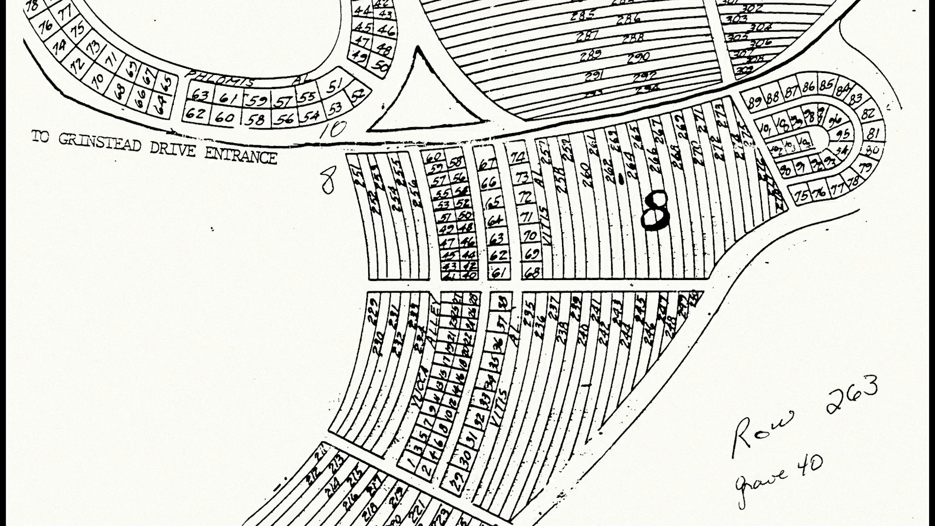 აღმოსავლეთისკენ  ქართულად -  Facing East