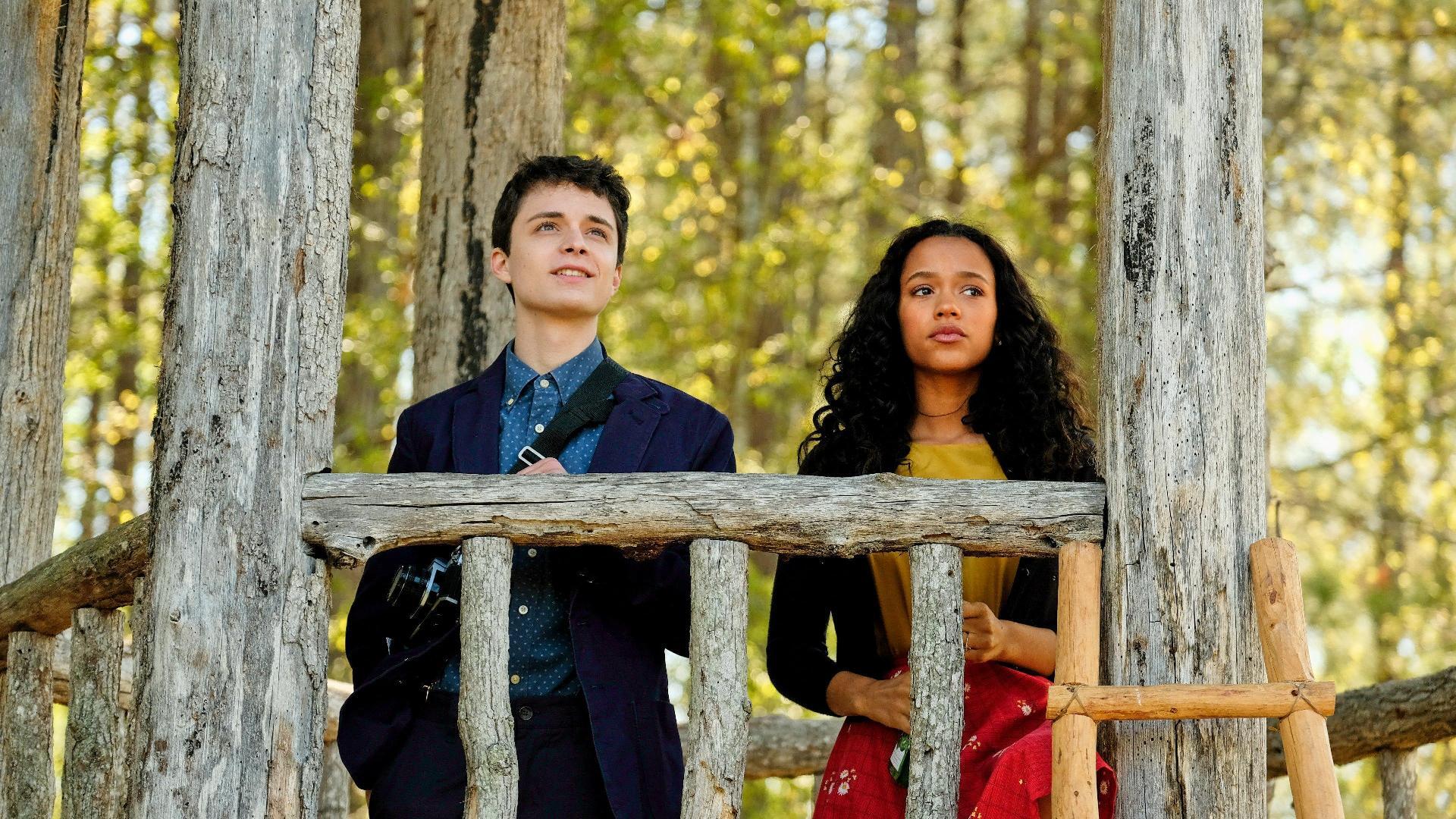 დოქტორი ბერდის რჩევა სევდიან პოეტებს  ქართულად -  Dr. Birds Advice for Sad Poets