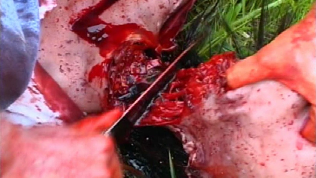 პირქუში  ქართულად -  The Bleak