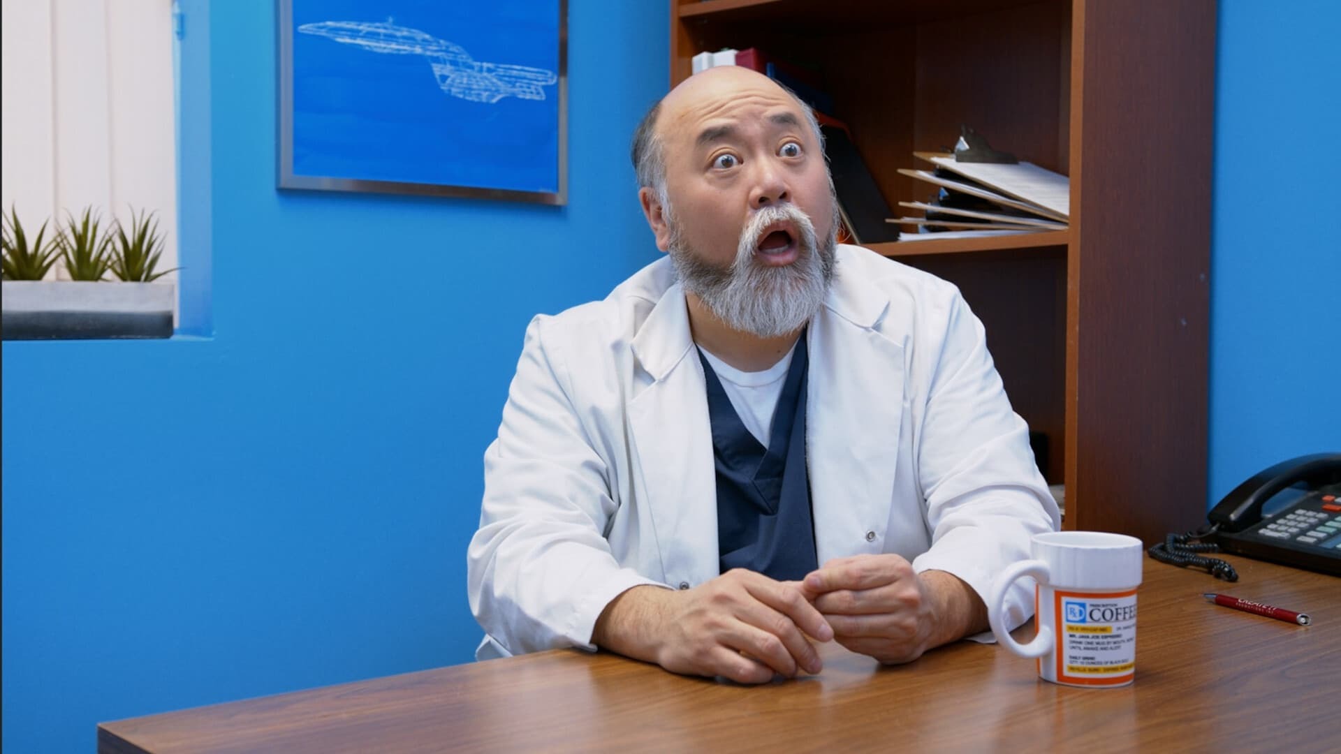 ფისოების დედიკოები  ქართულად -  Kitty Mammas