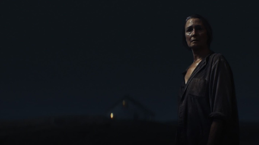 სასურველი მერი  ქართულად -  The Wanting Mare