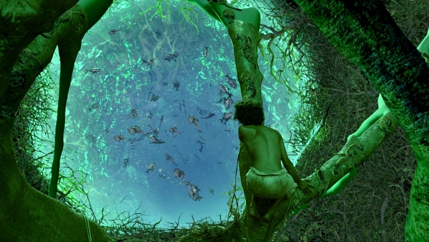 პის ცხოვრება  ქართულად -  Life of Pi