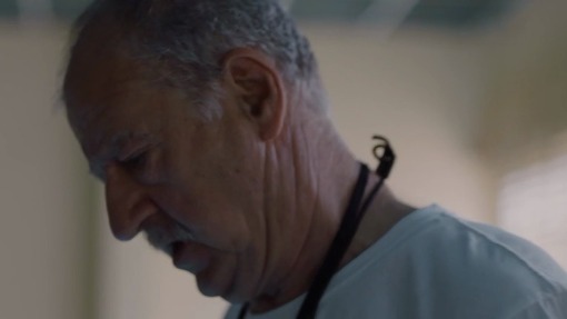 ღორი  ქართულად -  Praseto