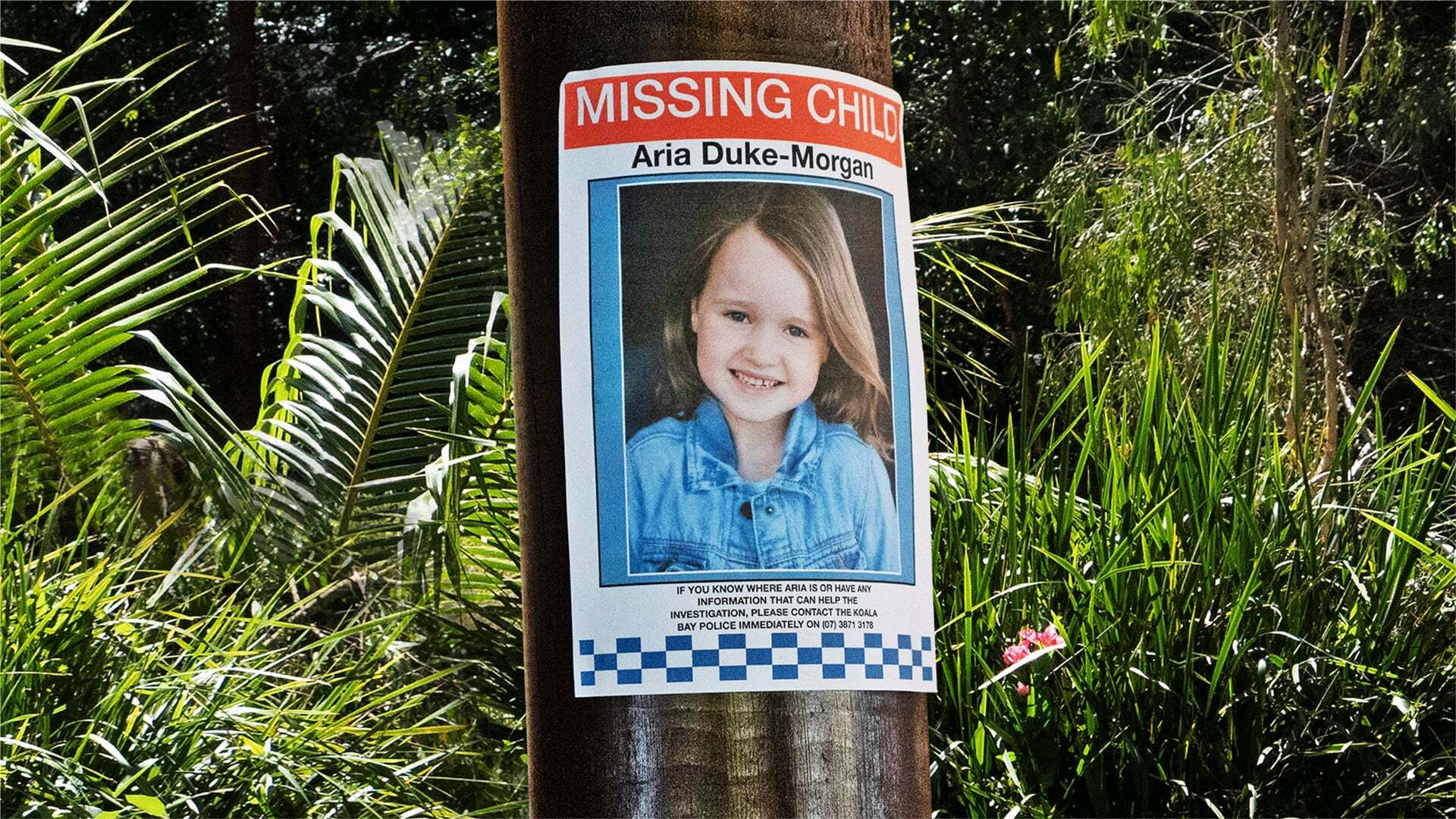 გატაცება  ქართულად -  Kidnapped in Paradise